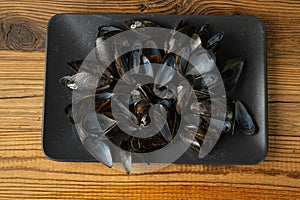 Empty Mussels Shell, Black Clams Shells, Eaten Mollusc, Shellfish, Mussel on Wood Background Top View