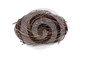 Empty Nest