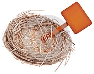 Empty Nest