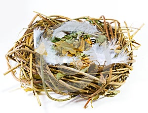 Empty nest