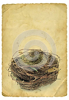 Empty nest