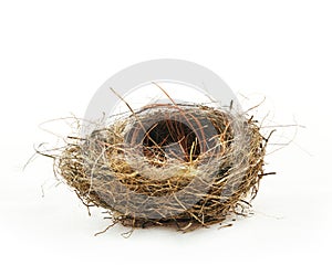 Empty nest