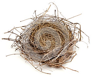 Empty Nest