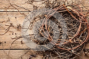 Empty nest