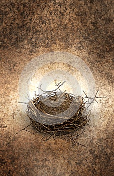 Empty nest