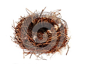 Empty Nest