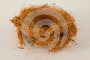 Empty nest against white background