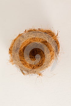 Empty nest against white background