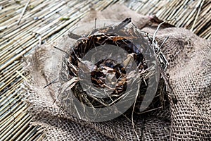 Empty nest from branches and dry leaves closeup