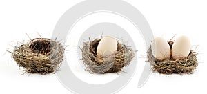 Empty nest and eggs inside the nests