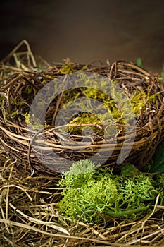 Empty nest with hay and moss