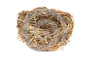 Empty nest isolated