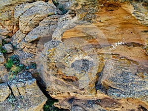 Empty nest of Long-legged Buzzard or Buteo rufinus on rock
