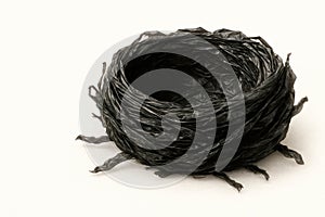 An empty nest made of black plastic bags.