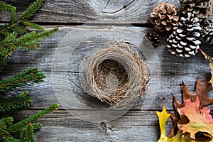 Empty nest on old wood for symbols of cozy winter