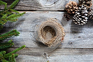 Empty nest on old wood for symbols of natural comfort