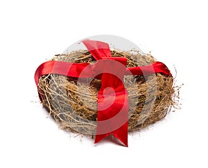 Empty nest with red ribbon.