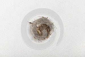 Empty Nest Syndrome concept, leave home, traces of a worm home