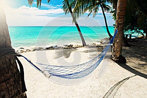 Empty net hammock at tropical beach resort