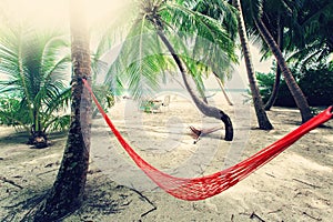 Empty net hammock at tropical beach resort