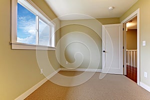 Empty new green room with beige carpet.