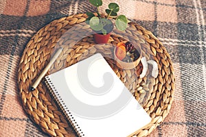 Empty note and pen laying on round natural napkin with small pilea flower and dry coconut and apricot