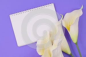 Empty notebook and callas on lilac background