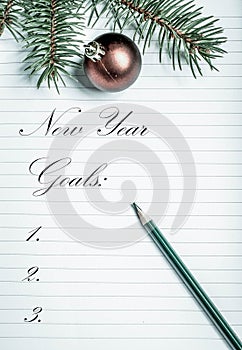 empty notebook page and fir branch New Year goals