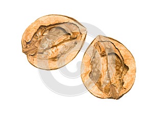 Empty nutshell isolated on white