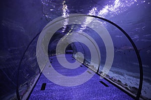 Empty oceanarium tunnel