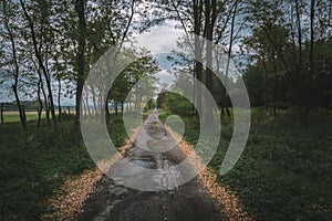 Empty old road in Slovakian forest