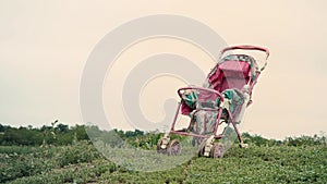 Empty old stroller in a field against the sky, a baby carriage without a child