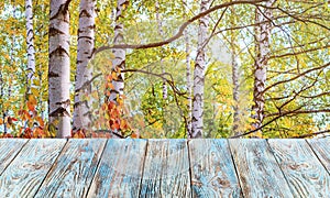 Empty of old wood table top on abstract autumn background of a birch grove