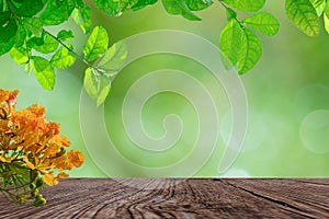 Empty old wooden on a bokeh backgrounds with leaves and flowers