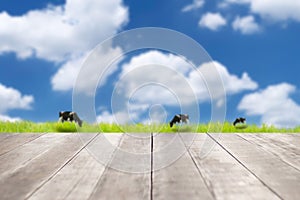 Empty old wooden table in front of blurred background of the rural meadows and cows, mountain, blue sky among bright sunlight on a