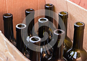 Empty olive colored wine bottles in a cardboard box