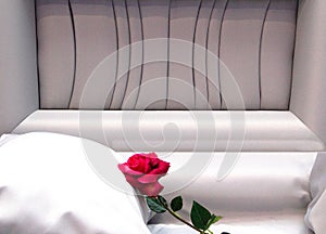 Open Casket with red rose