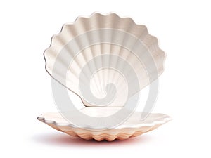 Empty open seashell 3d rendering
