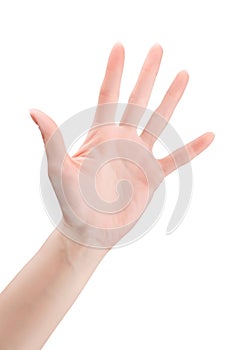 Empty open woman hand