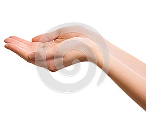Empty open woman hands isolated
