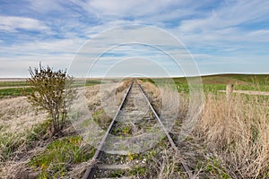 Empty Overgrown Railway Tracks in Canadian Prairie