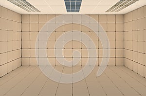 Empty padded cell, rubber room. 3D rendering