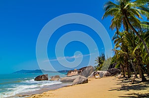 Empty Palm Beach in Sanya