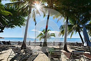 Empty palm beach on sunny summer