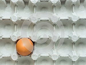 Empty paper egg container, Texture top view