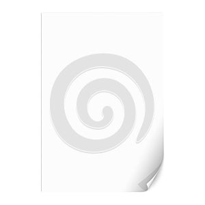 Empty Paper Sheet with Curled Corner. Vector