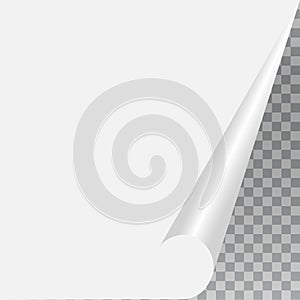 Empty paper sheet. Vector EPS10
