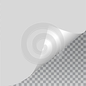 Empty paper sheet. Vector EPS10