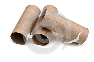 Empty paper in toilet rolls or bath tissues