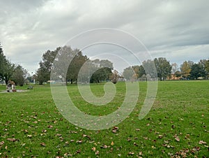 Empty park on autumn in a rainy day with overcast sky